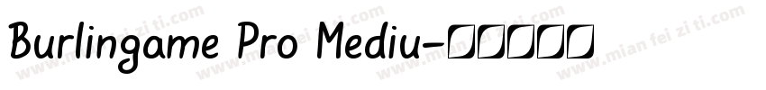 Burlingame Pro Mediu字体转换